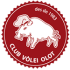 Club Volei Olot