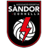 Logo Sandor