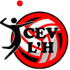 Club Esportiu Voleibol l'Hospitalet