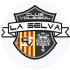 Club Voleibol la Selva